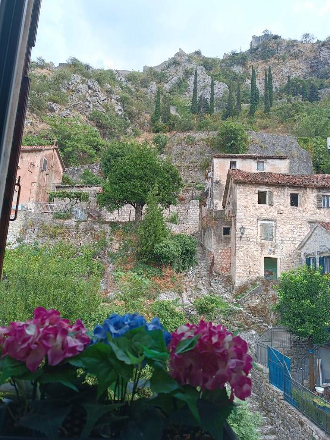 Guesthouse Bit Accommodation Kotor Eksteriør bilde