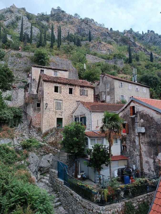Guesthouse Bit Accommodation Kotor Eksteriør bilde