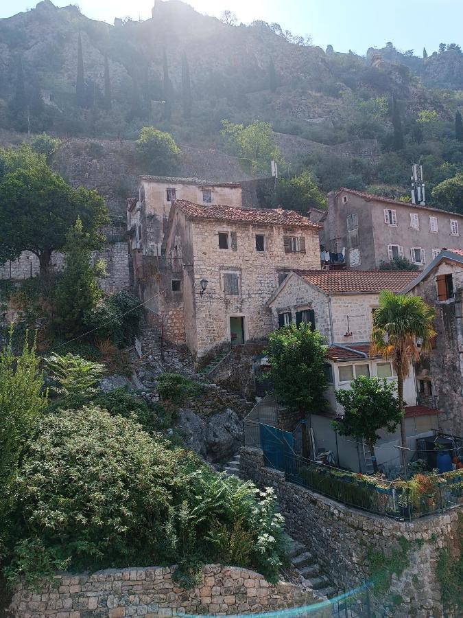 Guesthouse Bit Accommodation Kotor Eksteriør bilde