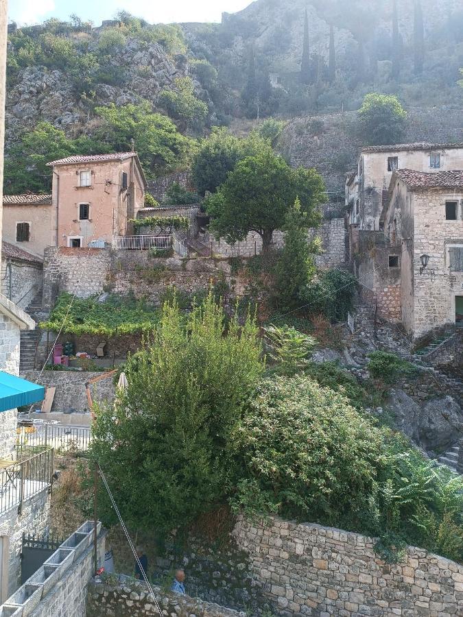 Guesthouse Bit Accommodation Kotor Eksteriør bilde